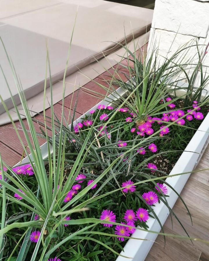 Sky Garden Locazione Turistica Apartment Polignano a Mare Exterior foto