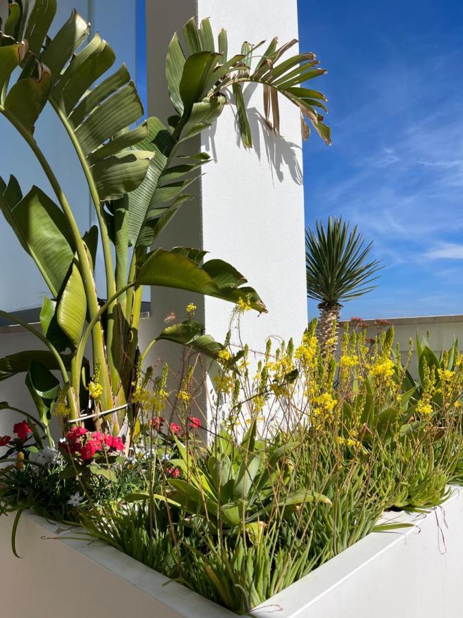Sky Garden Locazione Turistica Apartment Polignano a Mare Exterior foto